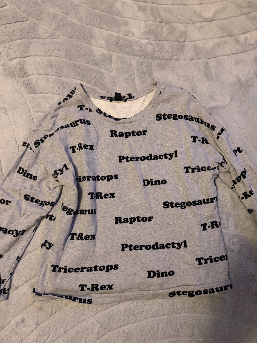 Forever 21 Gray Dinosaur Print Crewneck Sweater